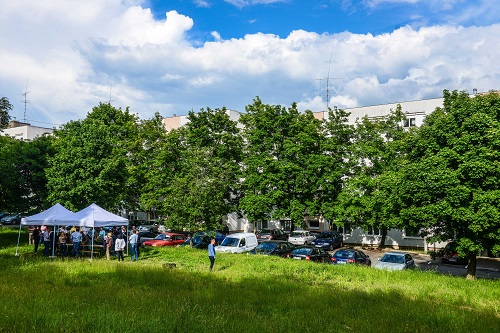 Cserjét és virágot is oszt az önkormányzat