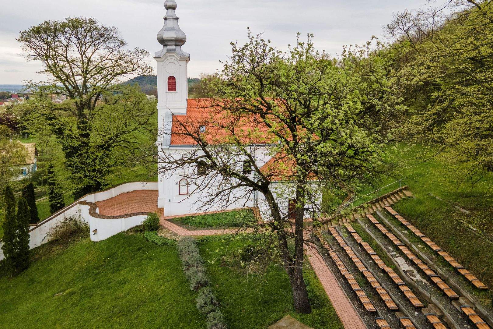 Legyen SZEKSZÁRDI az Év Fája!