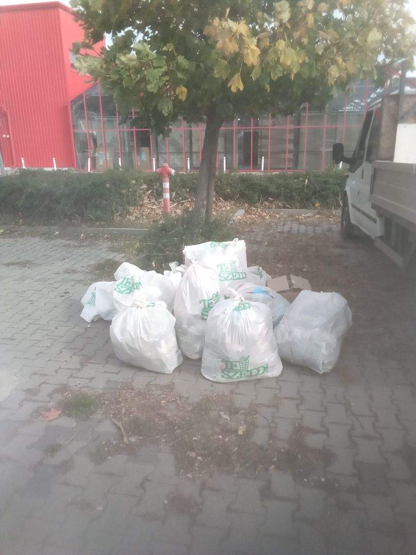 A hivatal dolgozói is tettek a tisztább környezetért