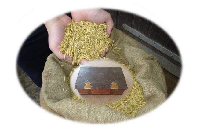 Meghívó