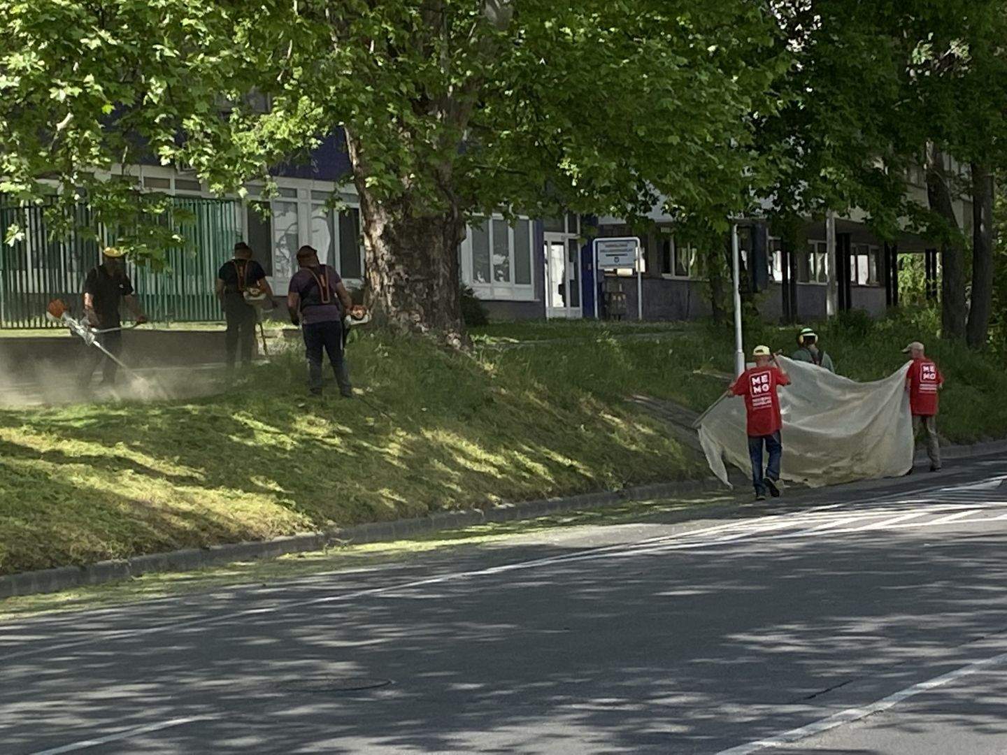 A fűnyírók hétfői menetrendje