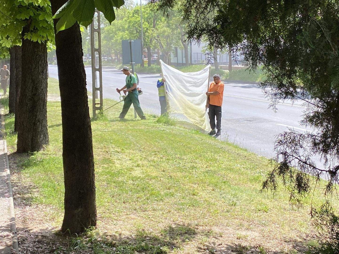 A fűnyírók csütörtöki menetrendje
